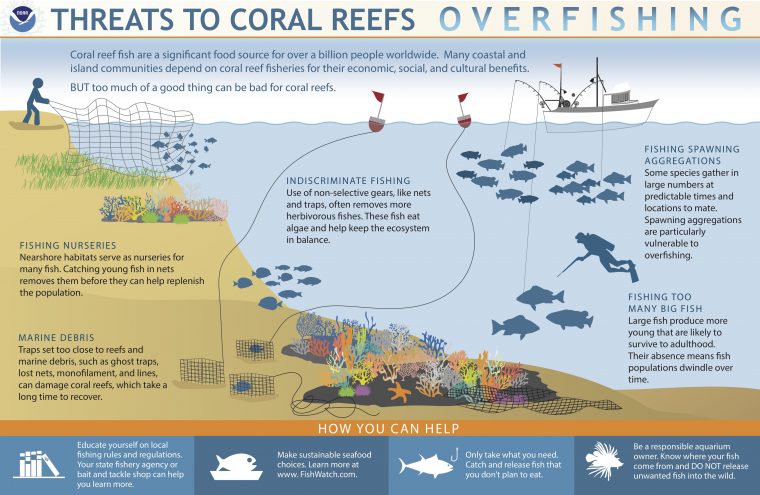 coral-overfishing-2-760x495
