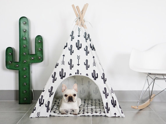 6 Unique Gifts for the Dog Lover in Your Life