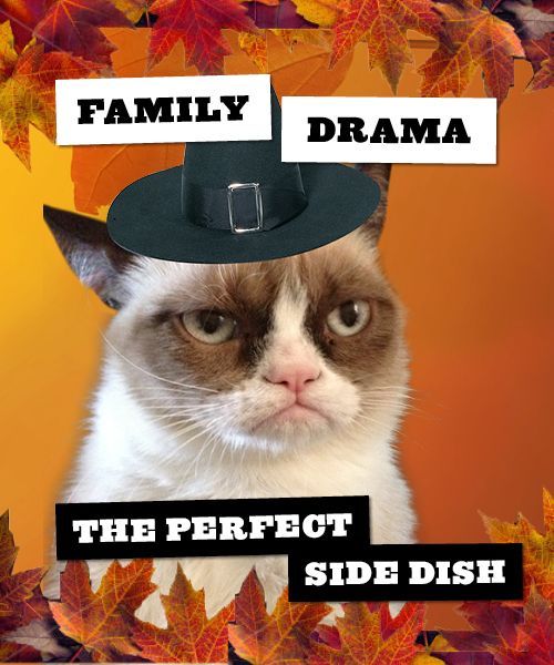 215313-grumpy-cat-funny-thanksgiving-quote-about-family