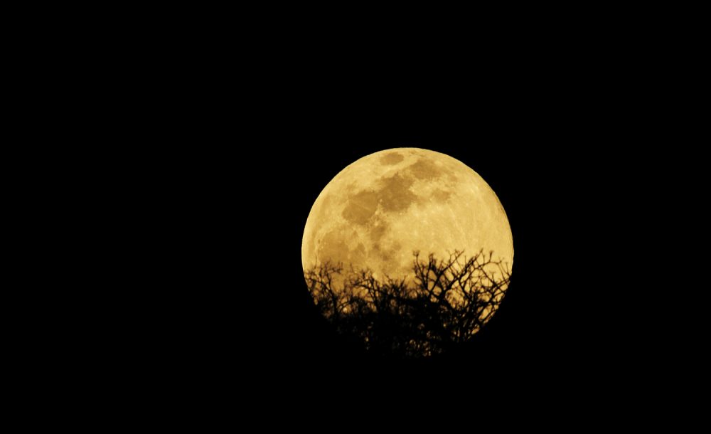 5 Photos You HAVE to See if You Missed The Harvest Moon