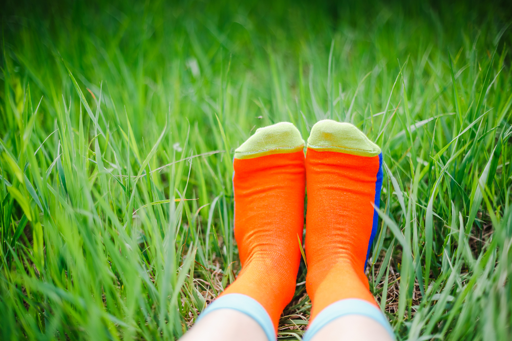 What Bamboo Socks Are and Where You Can Find Them