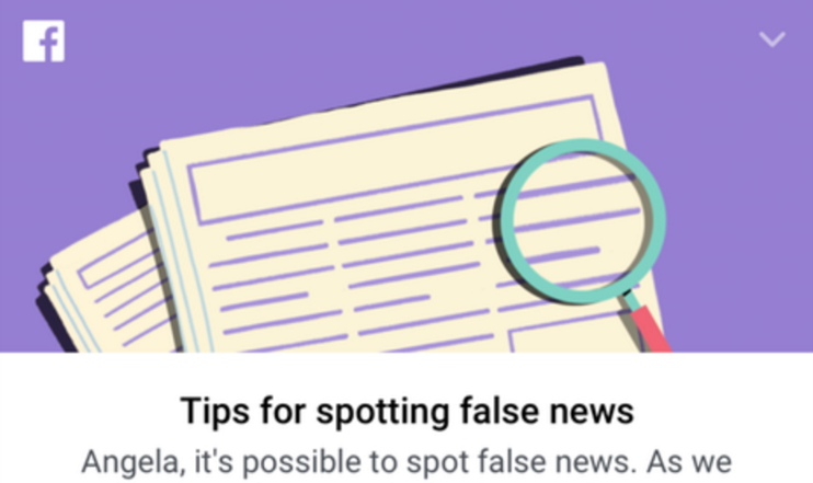 SpotFakeNews