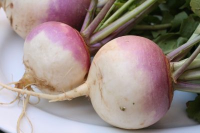 Turnip_2622027-400x266