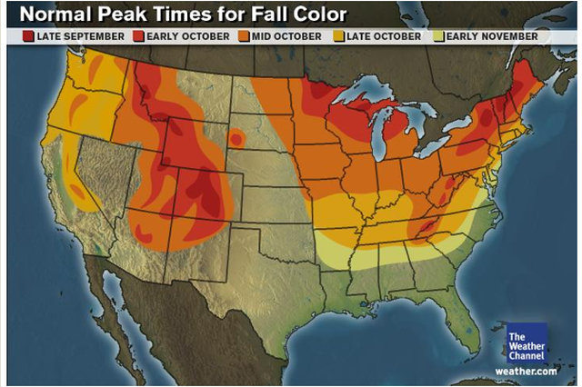 USA-Fall-Foliage-Map