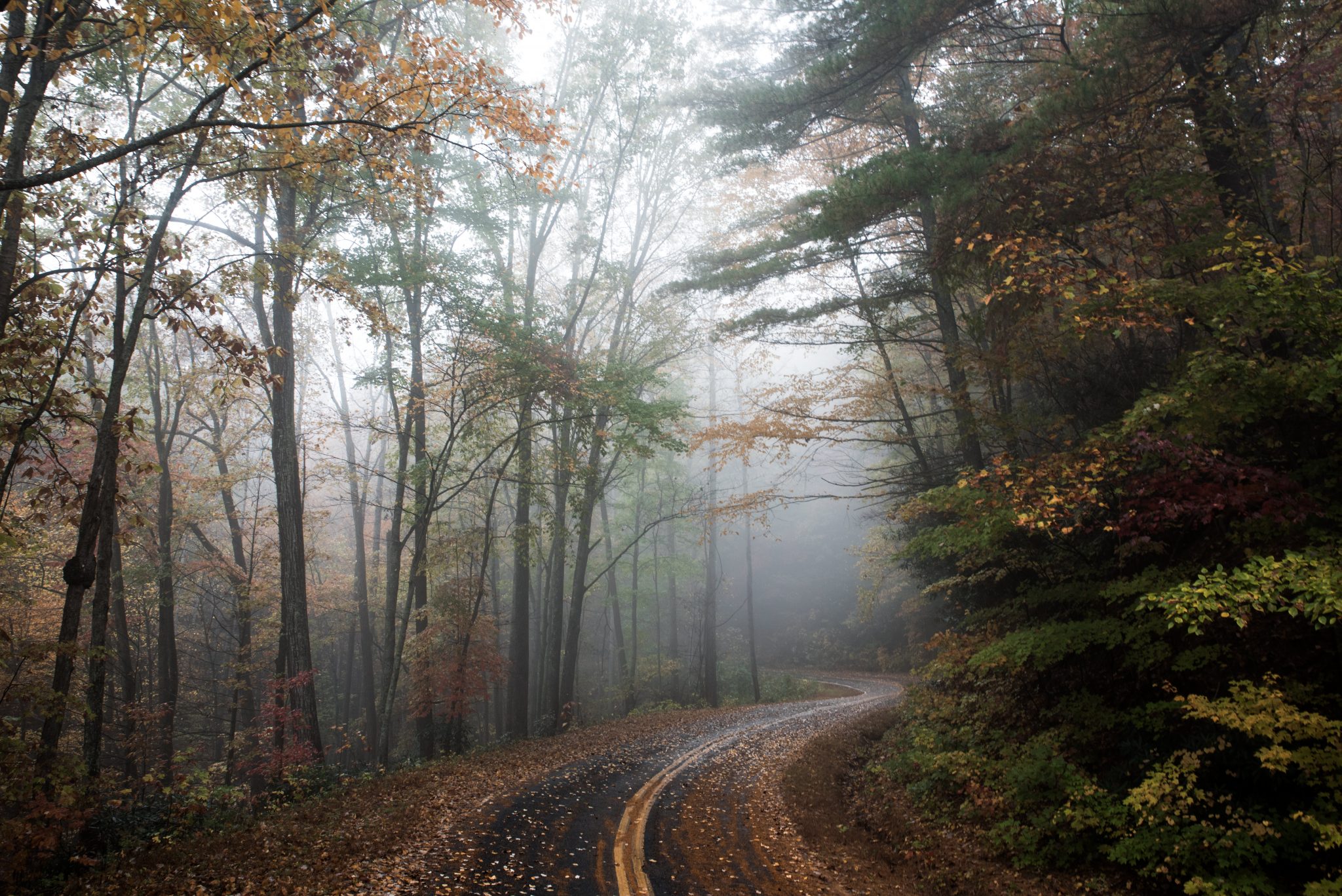 11 Enchanting Quotes About October And Halloween