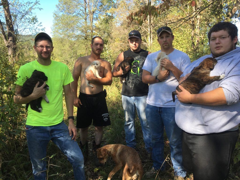 Stray Dog Leads Bachelor Party to Her Newborn Puppies, and They Adopt All 8 of Them