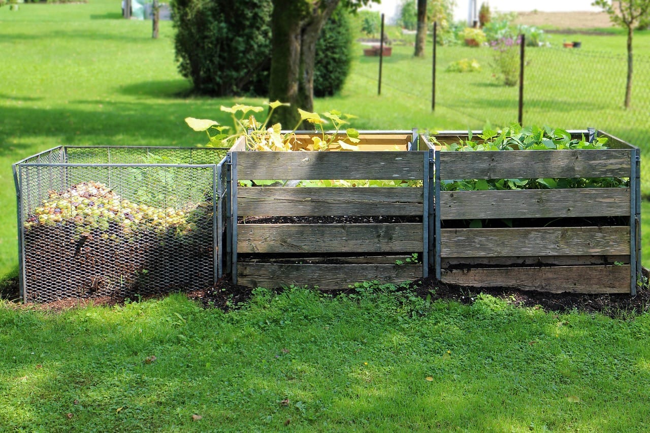 How to Start Indoor Worm Composting