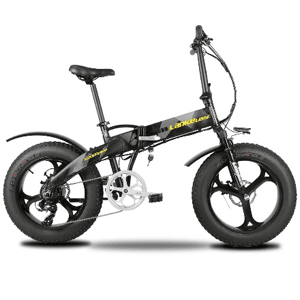 electricbike3