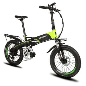 electricbike5