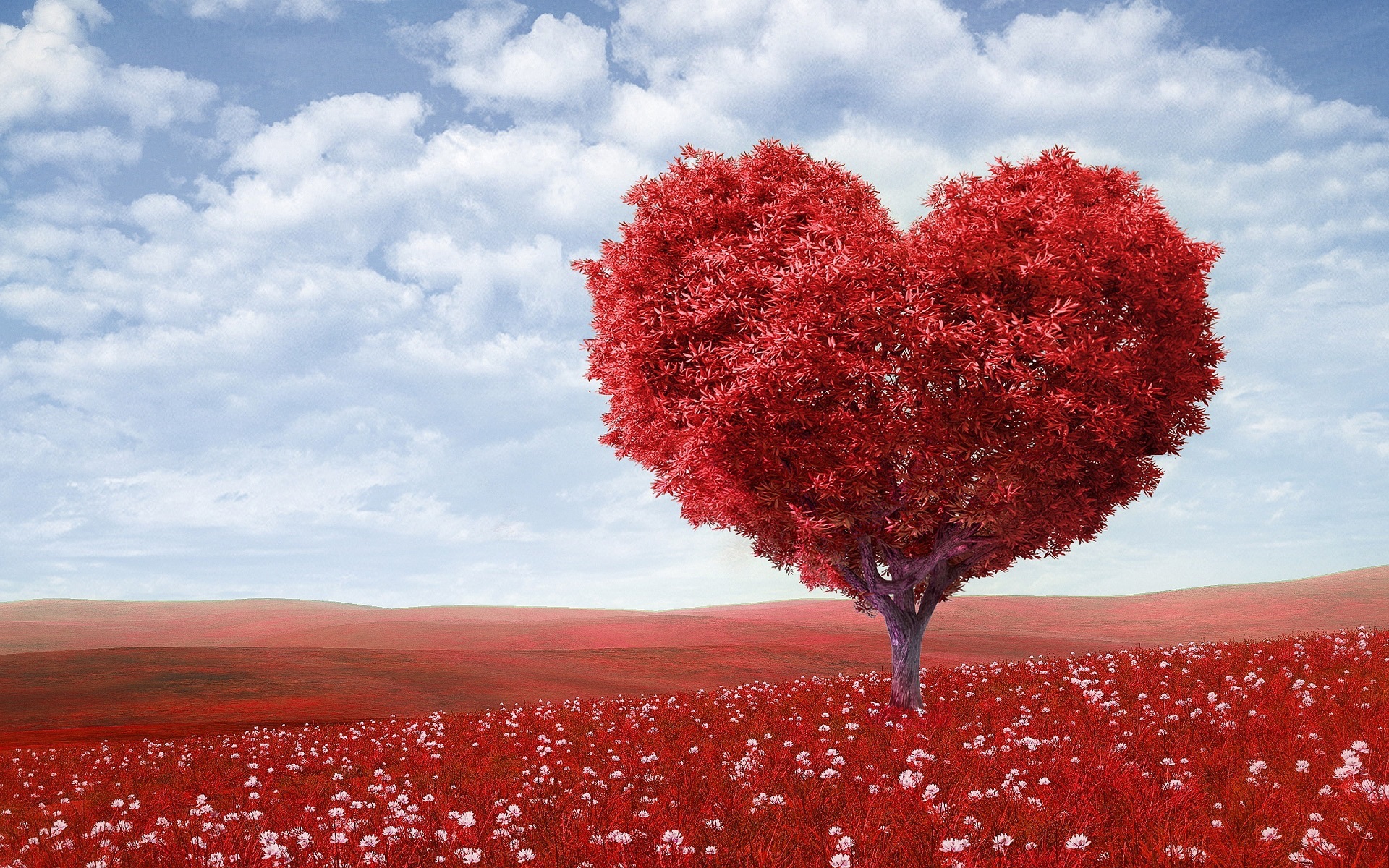 5 Alternative Date Ideas For Valentine's Day
