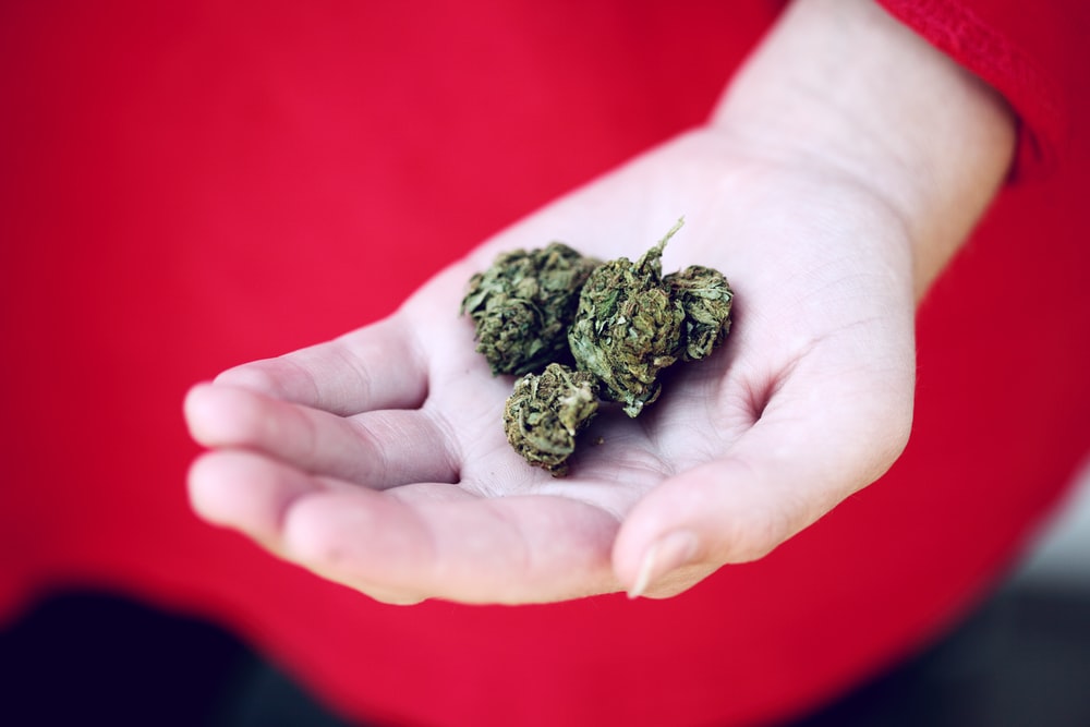 Benefit From Marijuana Legalization