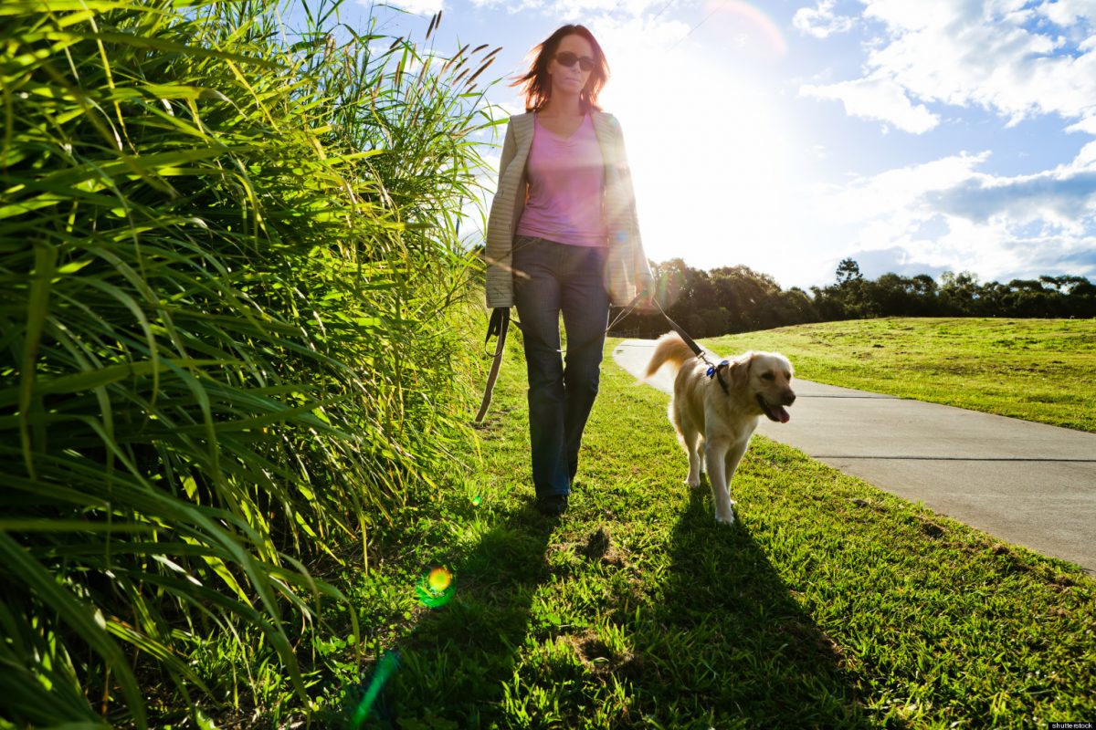 o-WALKING-PARK-facebook-1200x800