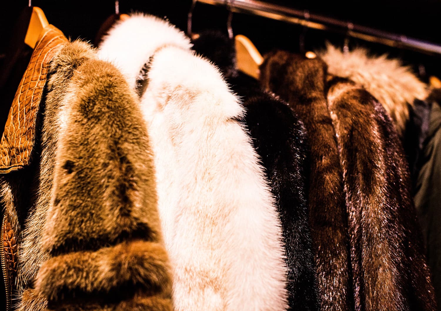 7 Storage Tips to Ensure Your Fur Coat Survives the Summer