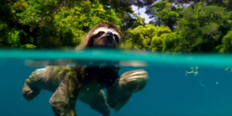 planet-earth-trailer-sloth-1476203907-760x380