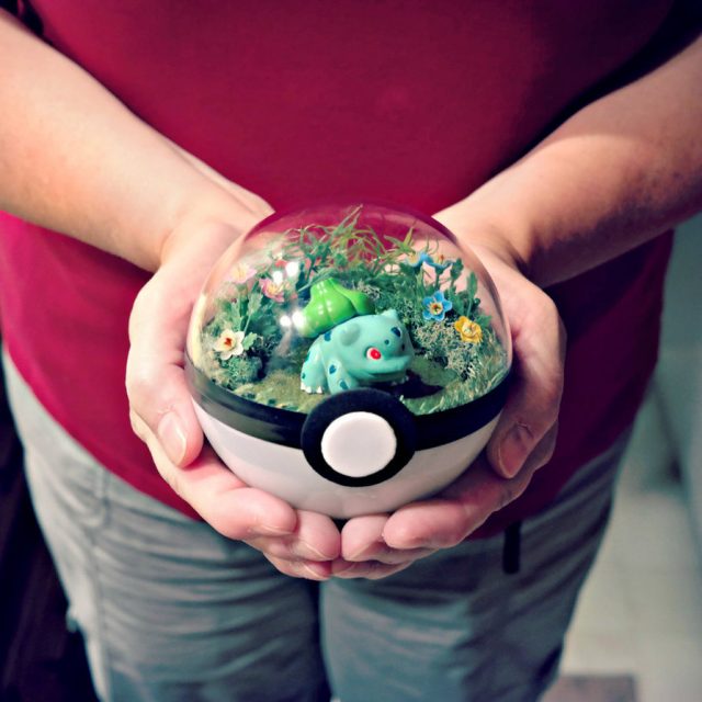 pokemon-terrarium-2