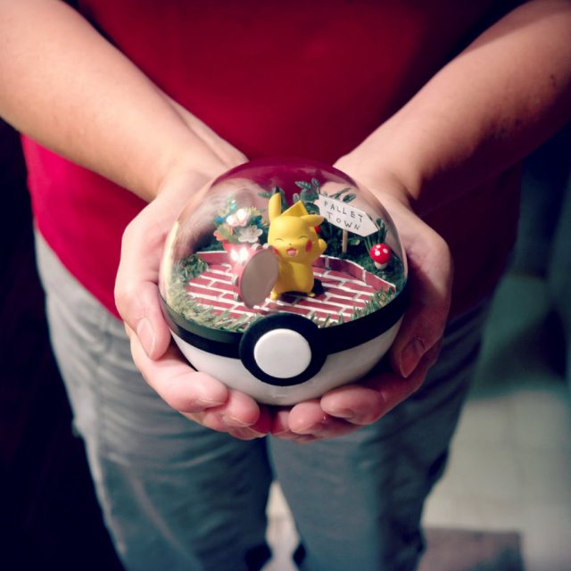 pokemon-terrarium-3