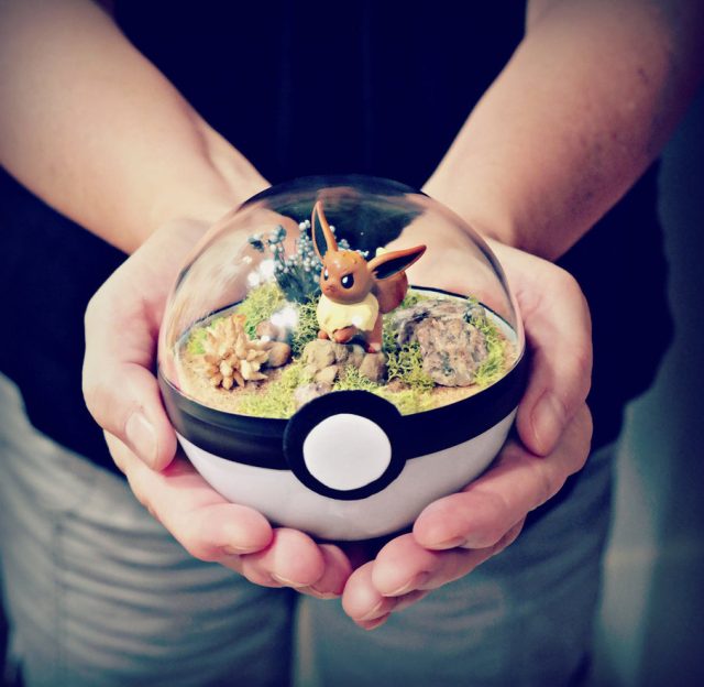 pokemon-terrarium-5