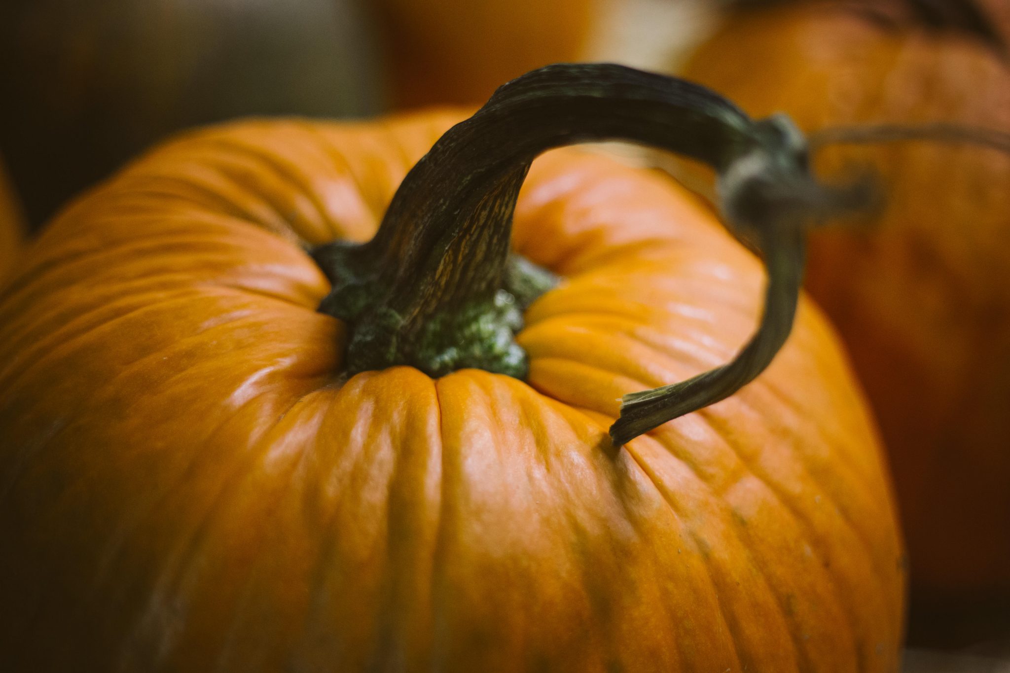 The Coolest Pumpkin Carvings Ever