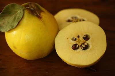 quince-real-natural-remedy-featured-400x266